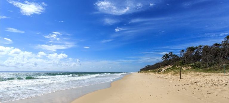 Teenage girl killed in shark attack while swimming at Australia tourist spot