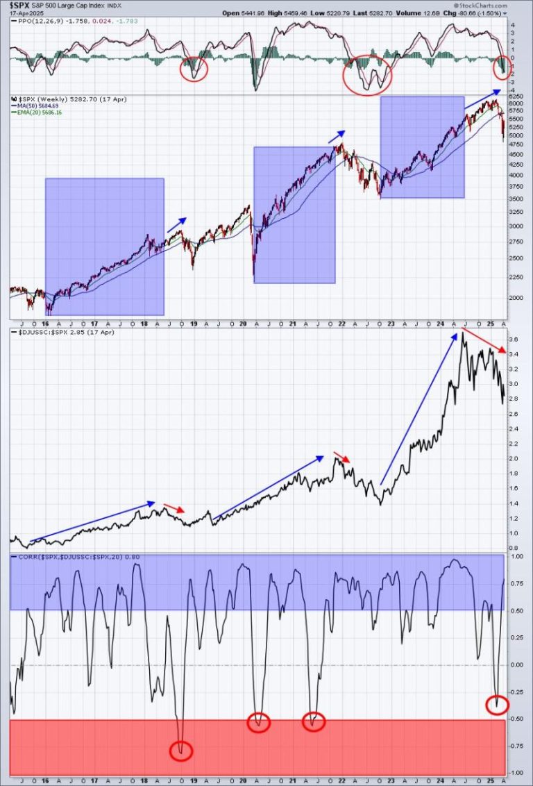 This is the Group to Watch for the Next Bull Market Phase and Separating Noise from Reality