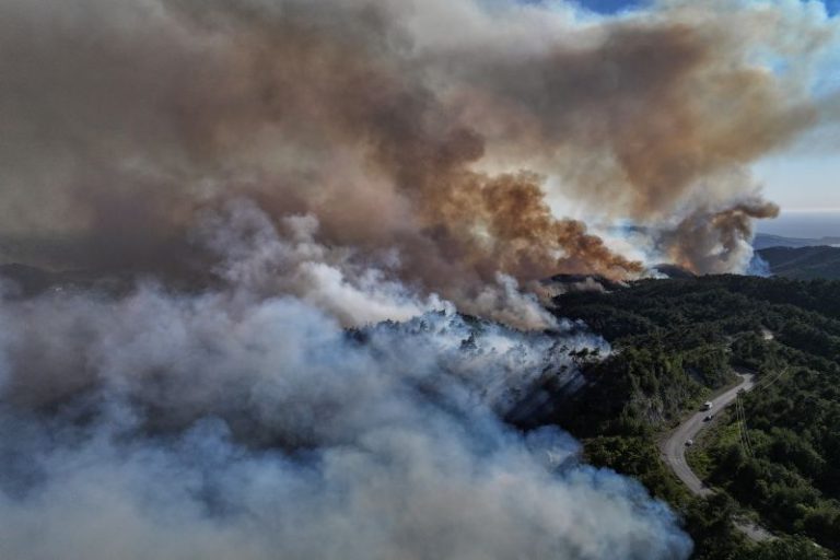 Wildfires sweep through forests in drought-hit Syrian coast in major test for new government